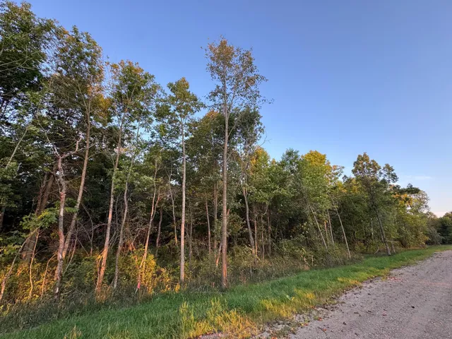 $124,000 | Lot 1-tbd Northeast Rock Lake Road, Rochert, MN 56578