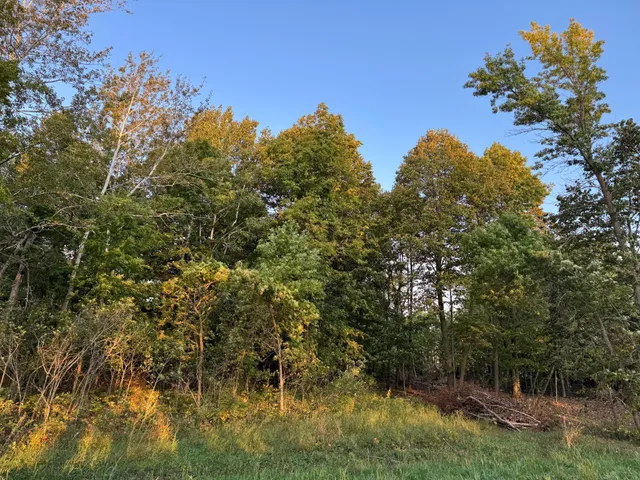 $124,000 | Lot 1-tbd Northeast Rock Lake Road, Rochert, MN 56578