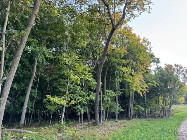 $124,000 | Lot 1-tbd Northeast Rock Lake Road, Rochert, MN 56578