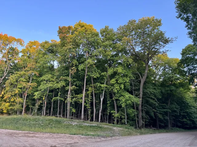 $124,000 | Lot 1-tbd Northeast Rock Lake Road, Rochert, MN 56578