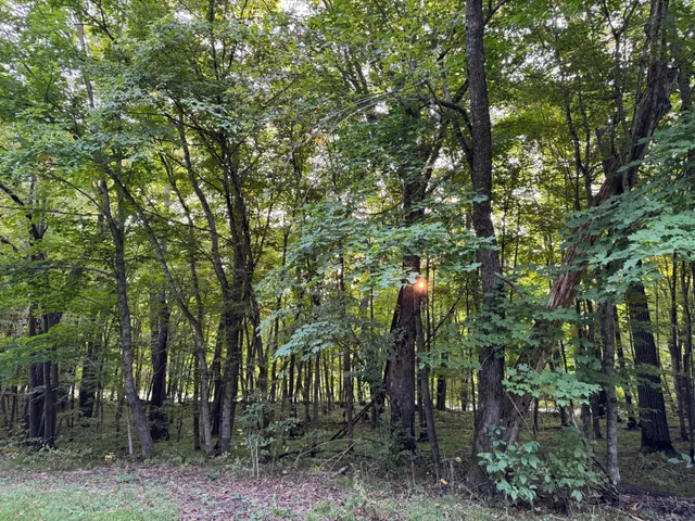 $124,000 | Lot 1-tbd Northeast Rock Lake Road, Rochert, MN 56578