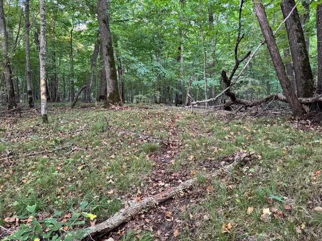 $124,000 | Lot 1-tbd Northeast Rock Lake Road, Rochert, MN 56578