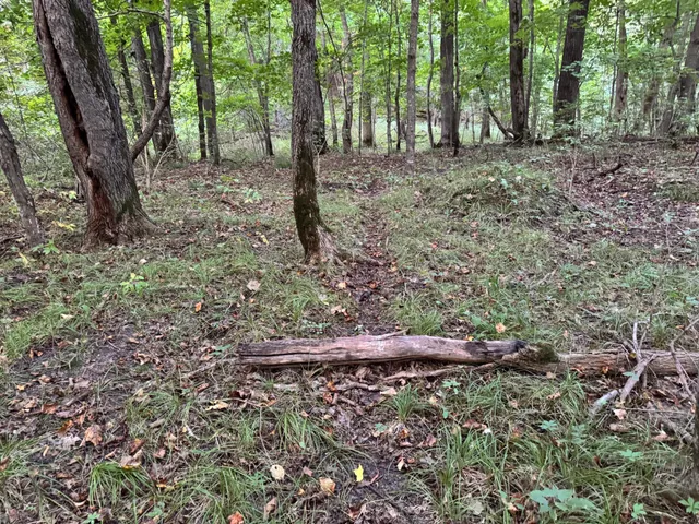 $124,000 | Lot 1-tbd Northeast Rock Lake Road, Rochert, MN 56578