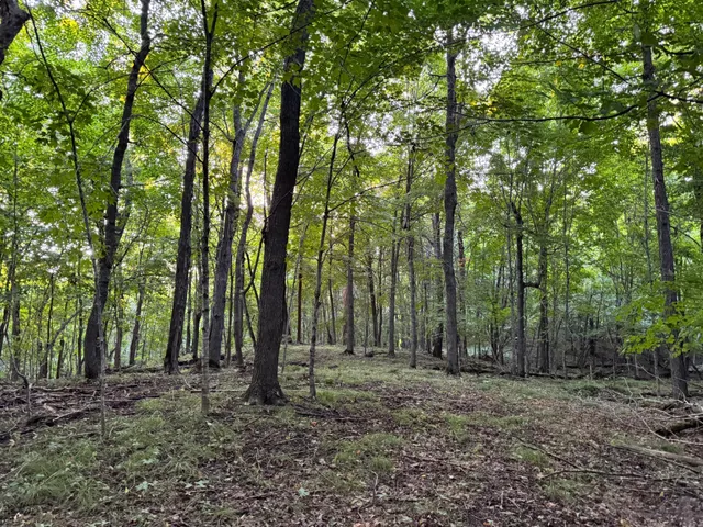 $124,000 | Lot 1-tbd Northeast Rock Lake Road, Rochert, MN 56578