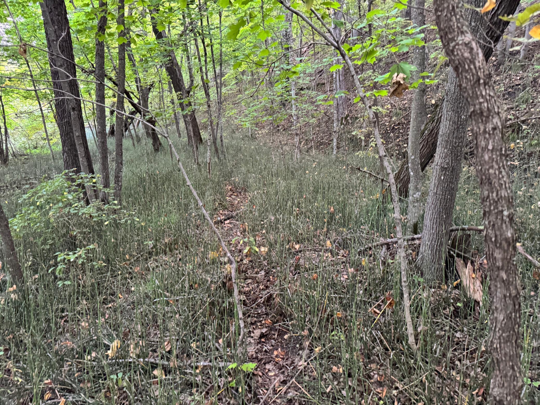 Lot 1-tbd Northeast Rock Lake Road Rochert, MN 56578 - Photo 32 of 40