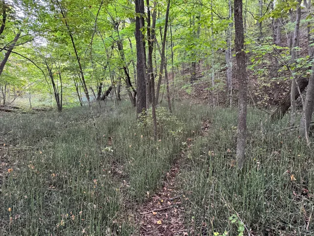 $124,000 | Lot 1-tbd Northeast Rock Lake Road, Rochert, MN 56578