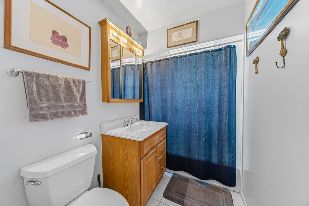178 West Normandy Drive Chicago Heights, IL 60411 - Photo 10 of 19 a bathroom with a toilet a sink and a shower