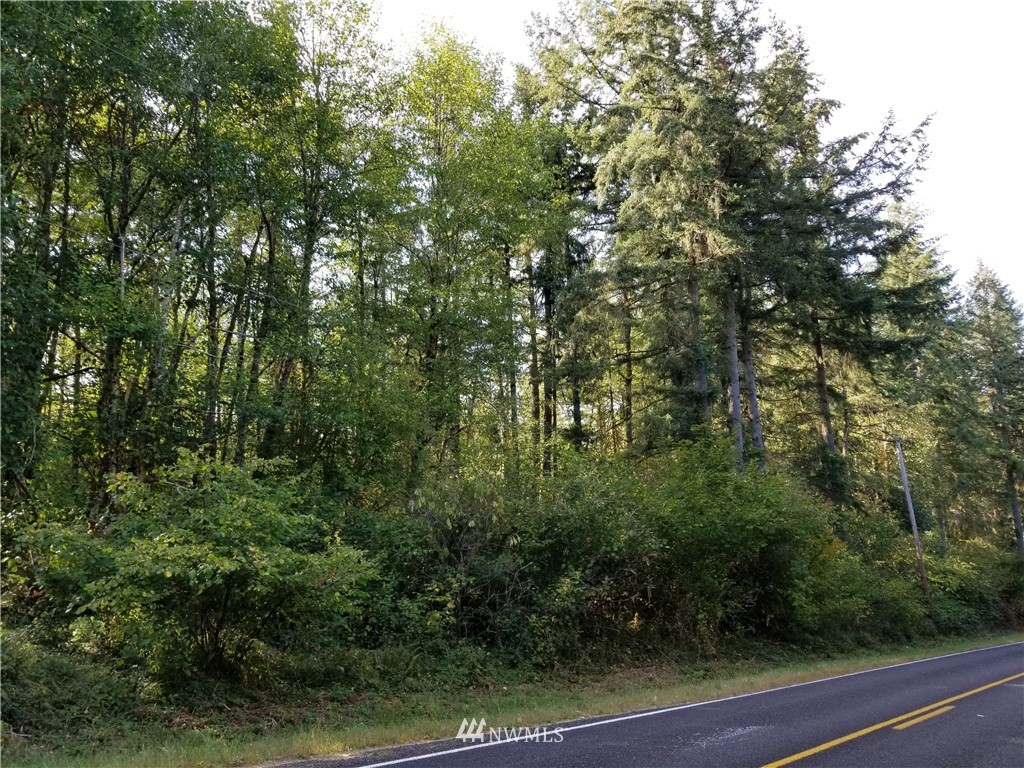 13825 Reeder Road Southwest Tenino, WA 98589 - Photo 14 of 14 a view of a city with lush green forest