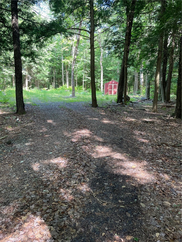 L2-26 Broome Center Road Gilboa, NY 12076 - Photo 1 of 1