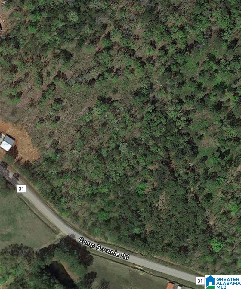 Camp Brownie Road Childersburg, AL 35044 - Photo 5 of 6