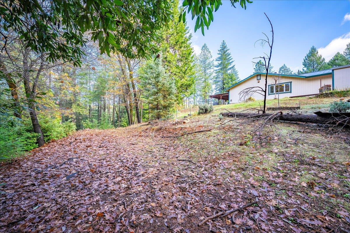 9201 Country Road Georgetown, CA 95634 - Photo 42 of 60