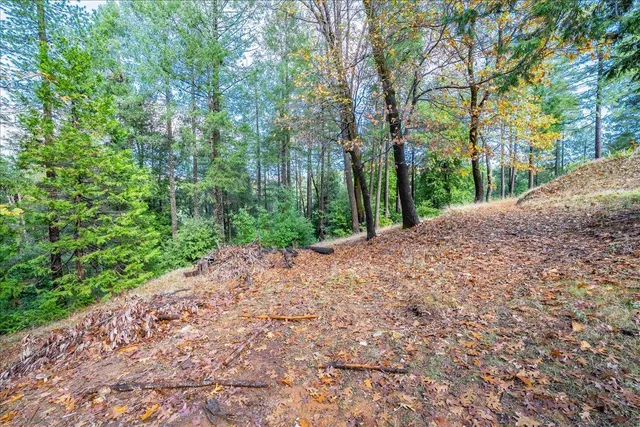 $399,000 | 9201 Country Road, Georgetown, CA 95634