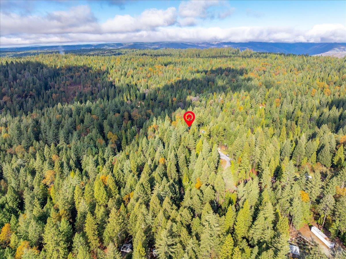 9201 Country Road Georgetown, CA 95634 - Photo 50 of 60