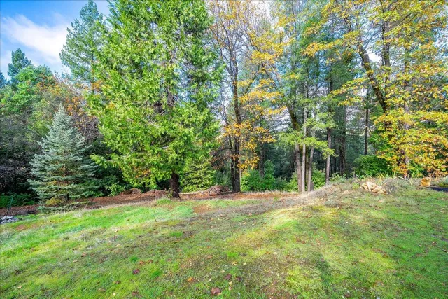 $399,000 | 9201 Country Road, Georgetown, CA 95634