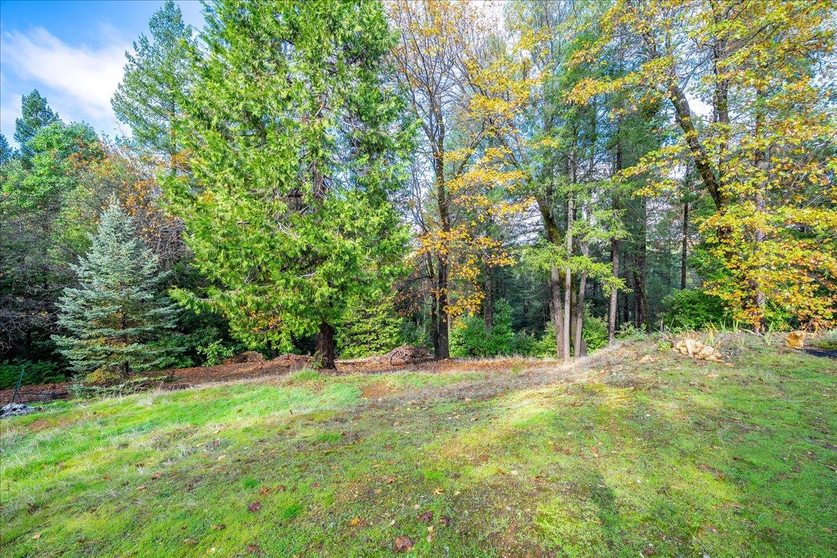 9201 Country Road Georgetown, CA 95634 - Photo 5 of 60