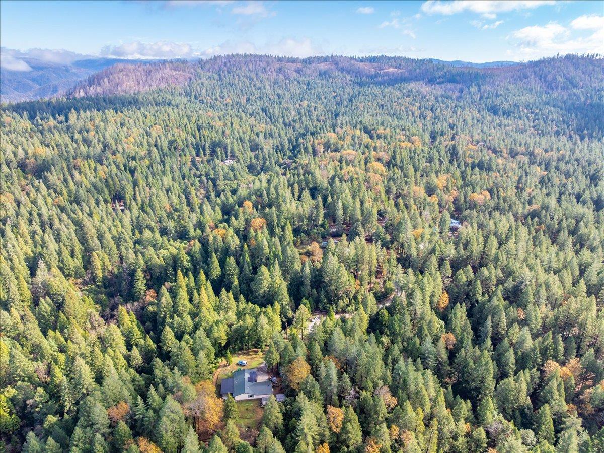 9201 Country Road Georgetown, CA 95634 - Photo 52 of 60