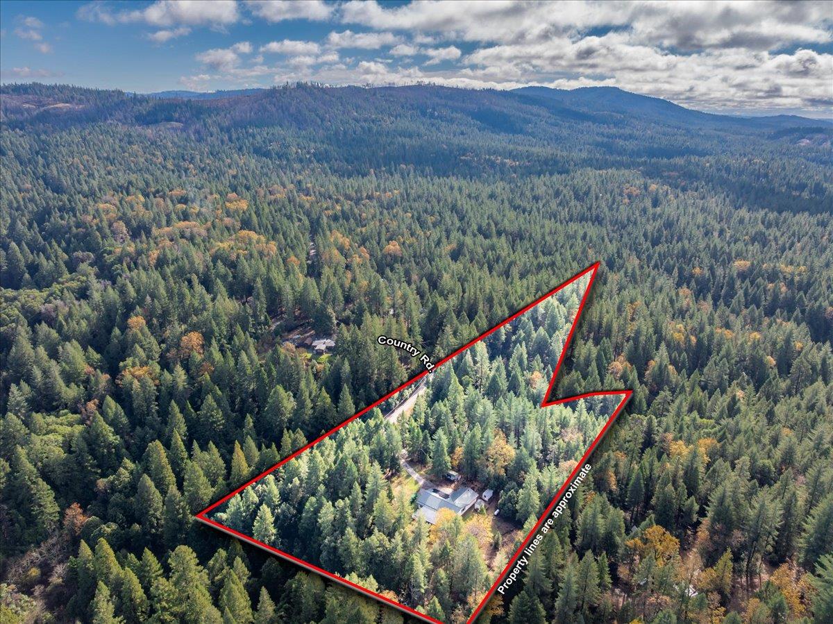 9201 Country Road Georgetown, CA 95634 - Photo 54 of 60