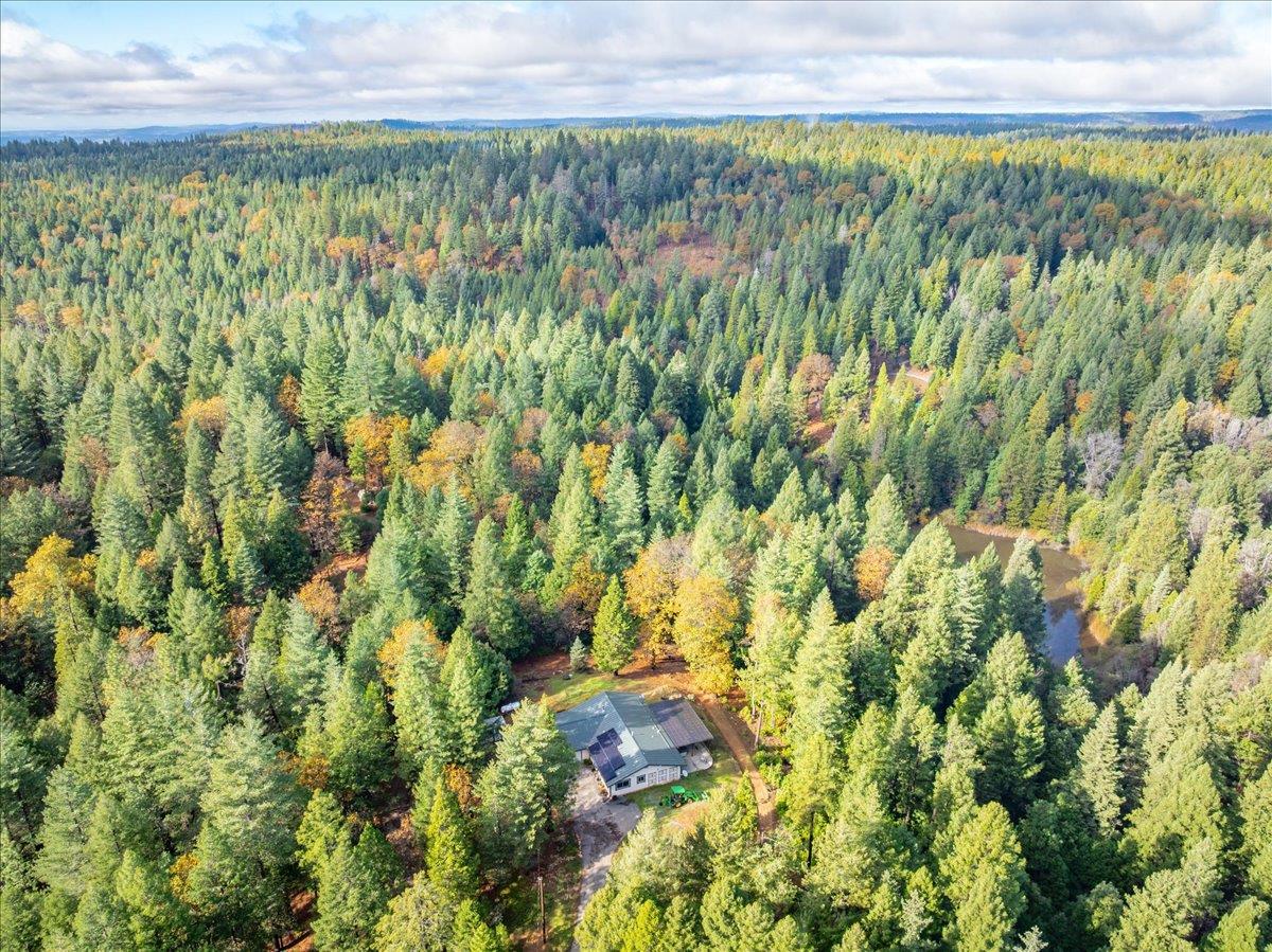 9201 Country Road Georgetown, CA 95634 - Photo 57 of 60