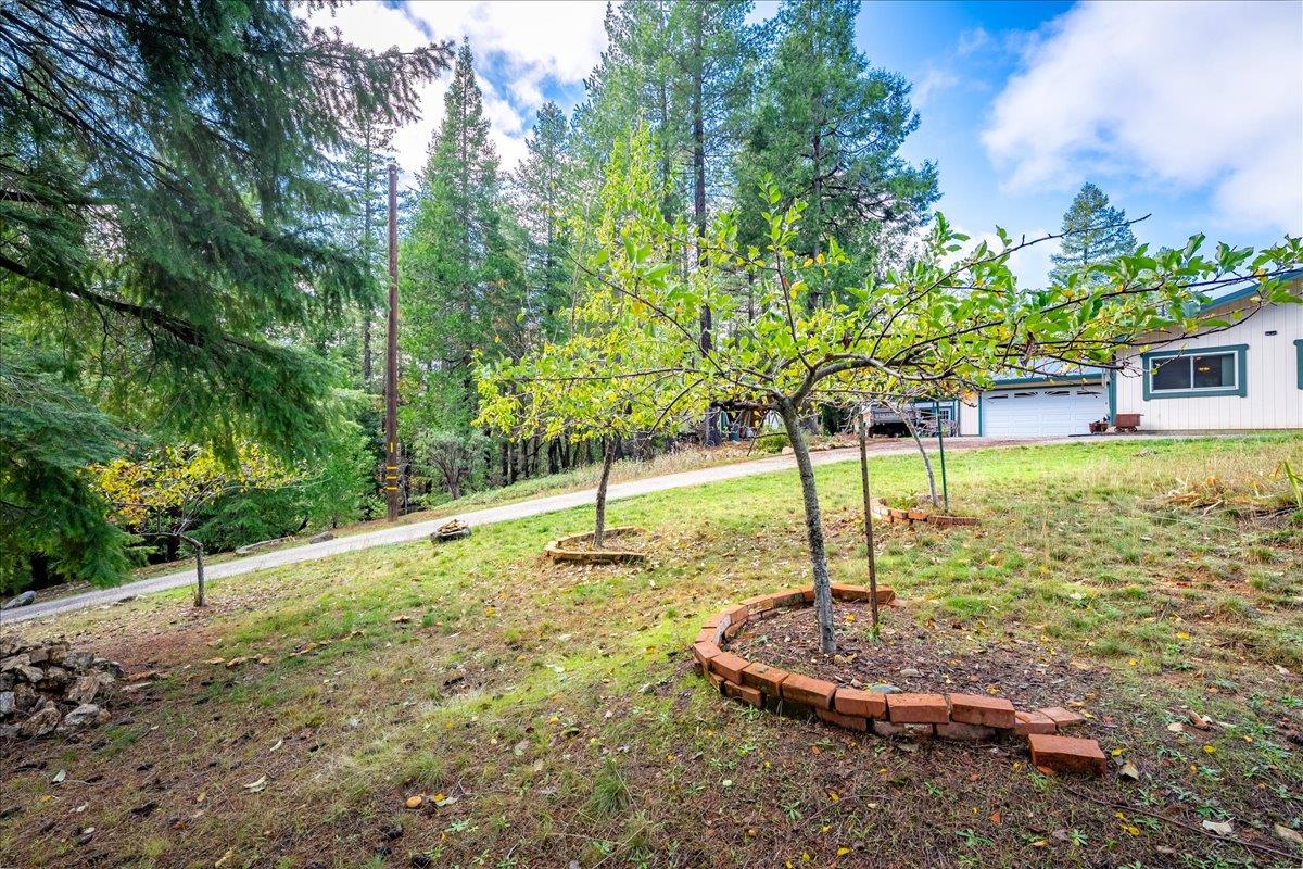 9201 Country Road Georgetown, CA 95634 - Photo 7 of 60