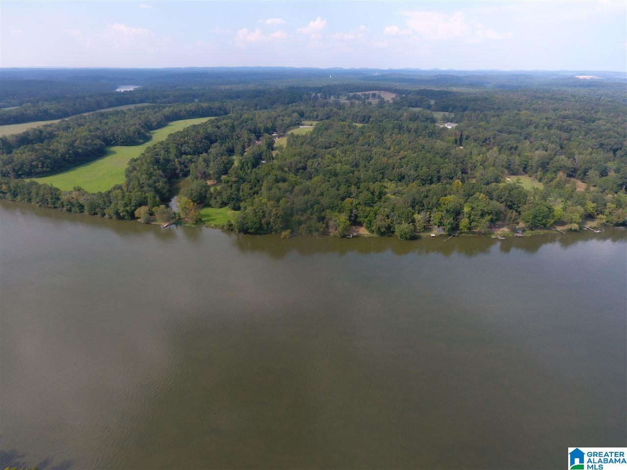 0 Brooks Road Ragland, AL 35131 - Photo 10 of 49