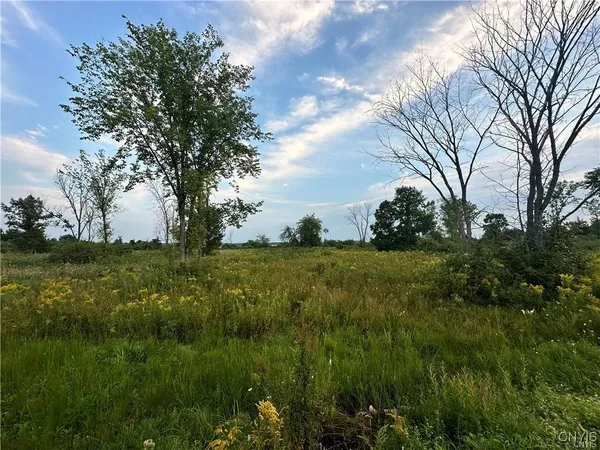 $135,000 | Lot 5 Rt-12, Clayton, NY 13624