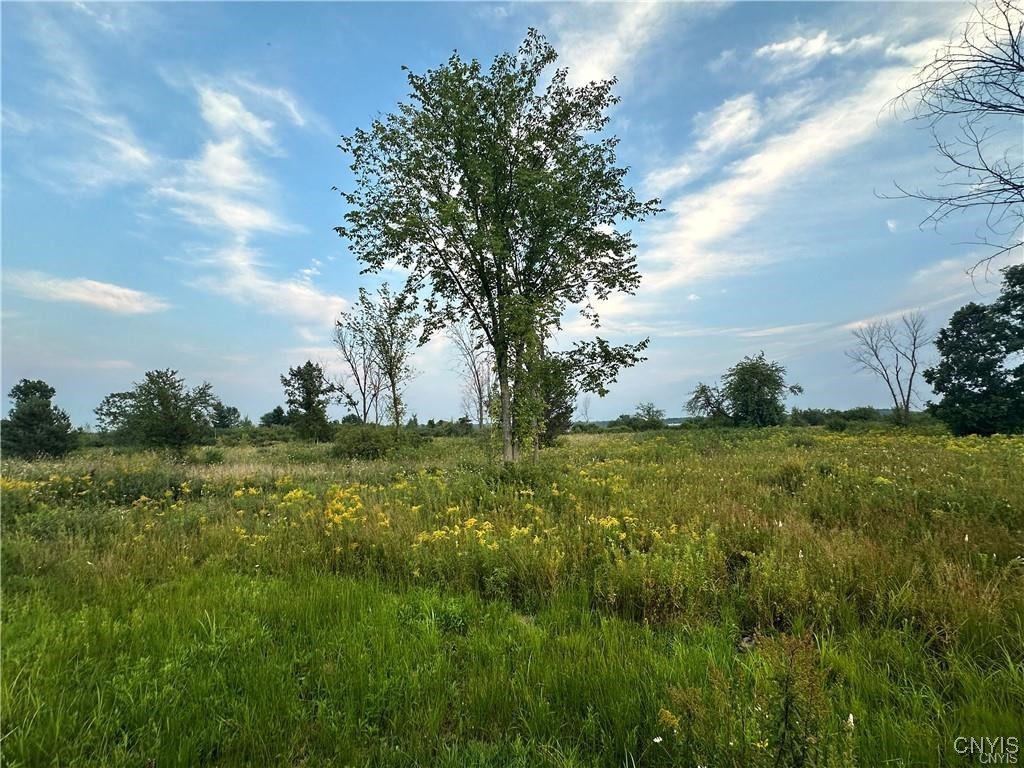 Lot 5 Rt-12 Clayton, NY 13624 - Photo 2 of 12