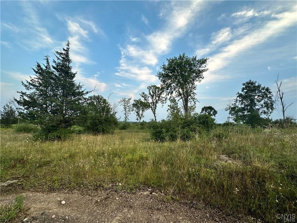 Lot 5 Rt-12 Clayton, NY 13624 - Photo 4 of 12