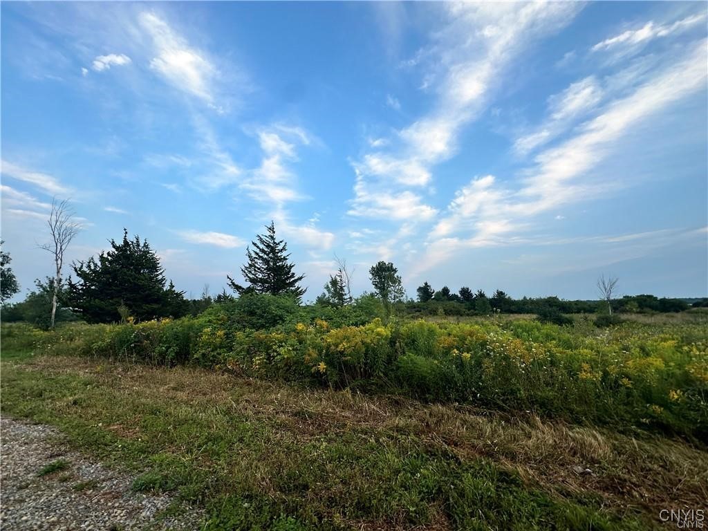 Lot 5 Rt-12 Clayton, NY 13624 - Photo 6 of 12