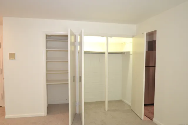 a view of walk in closet with empty racks