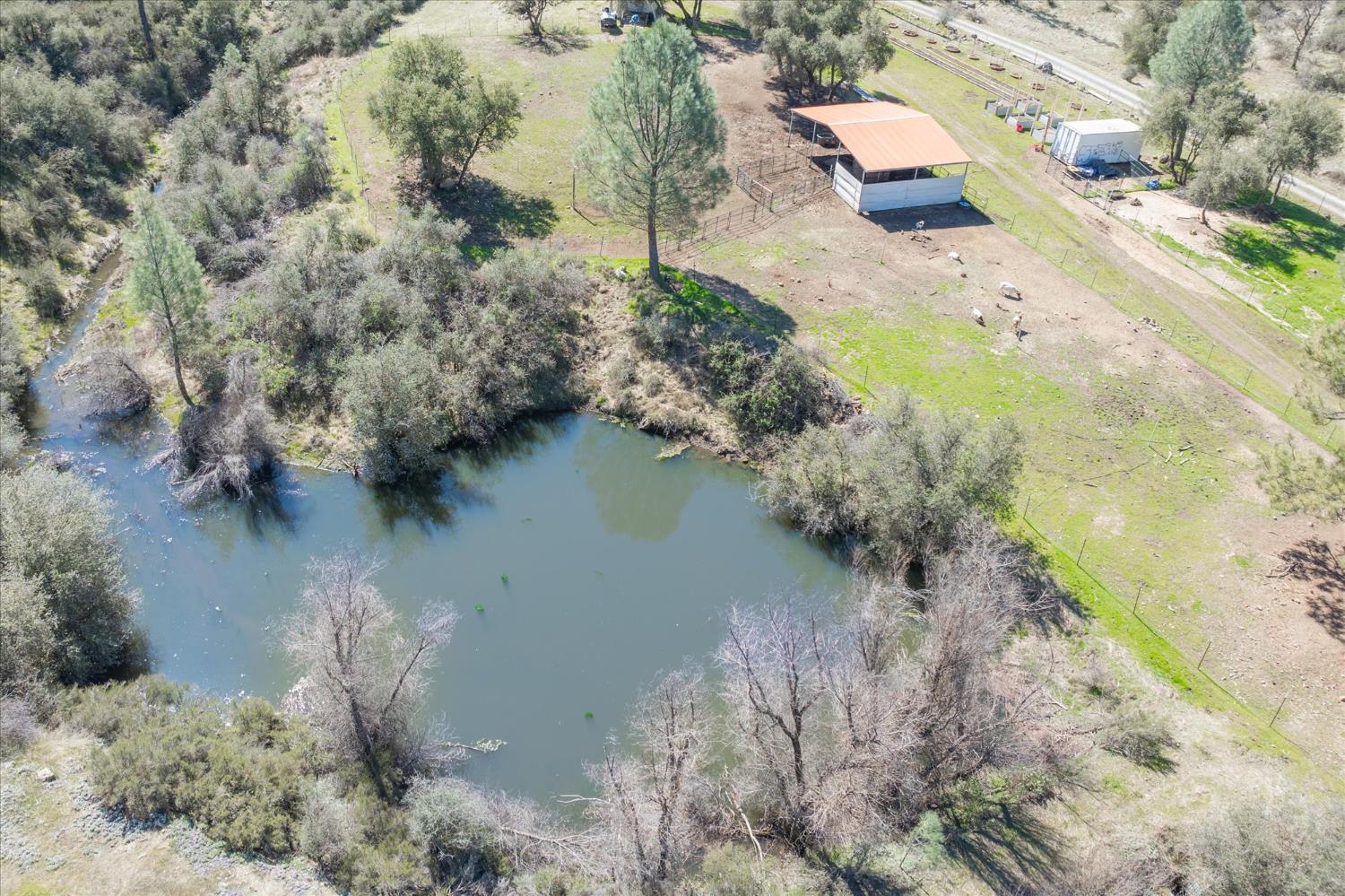 5921 Triple Oaks Road Mountain Ranch, CA 95246 - Photo 3 of 33 Seasonal pond