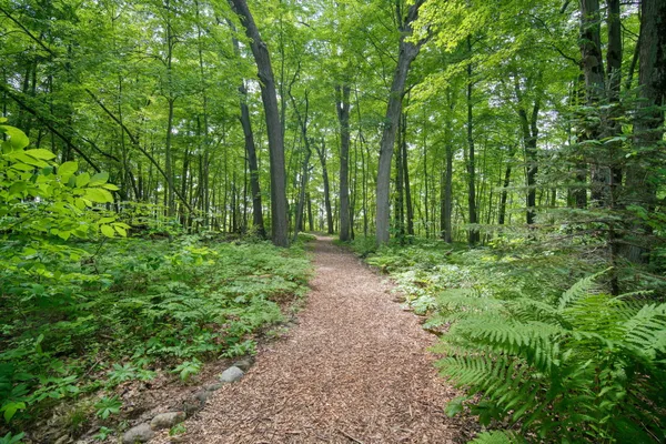 $21,000 | 7003 Sanctuary Drive, Jackson, MI 49201