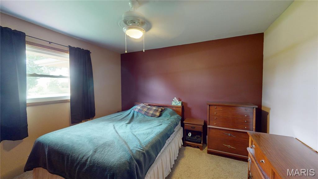 1434 Mulberry Grove Road Mulberry Grove, IL 62262 - Photo 30 of 45