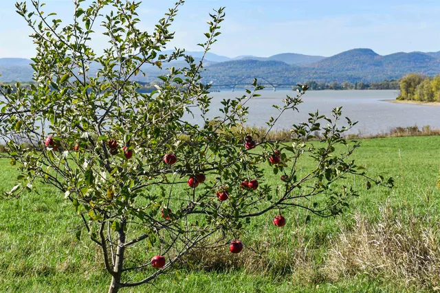 $795,000 | 8269 Vermont Rte 125, Bridport, VT 05734