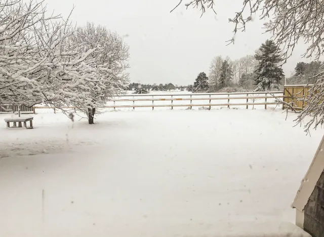 $795,000 | 8269 Vermont Rte 125, Bridport, VT 05734