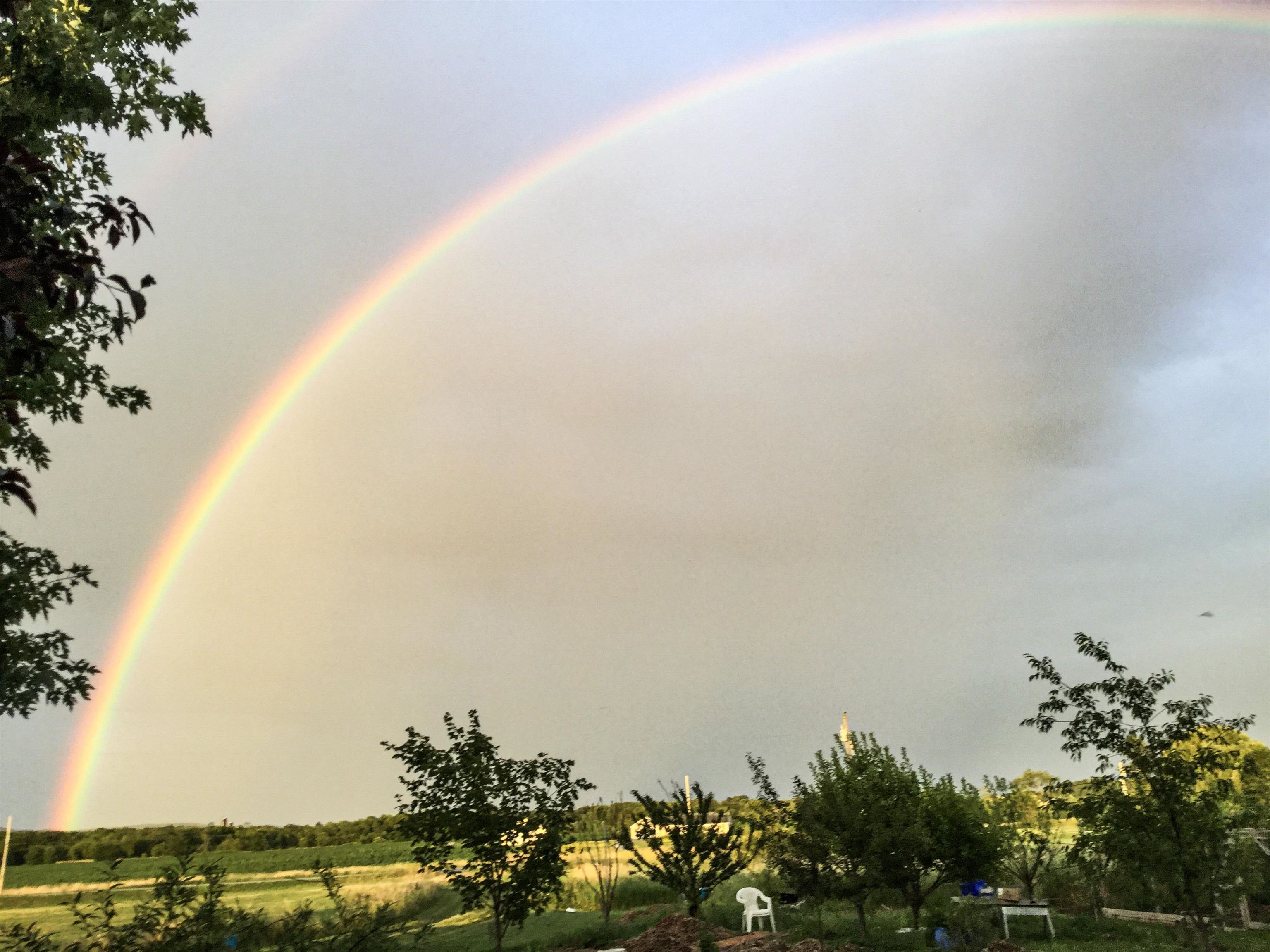 8269 Vermont Rte 125 Bridport, VT 05734 - Photo 8 of 46