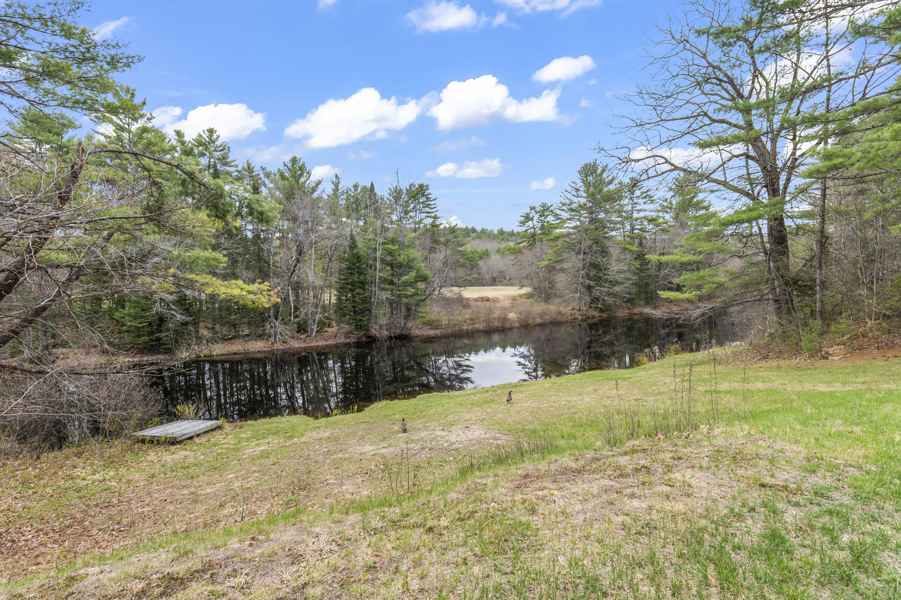 500 Plains Road Harrison, ME 04040 - Photo 41 of 47 photos_high_resolution_500_Plains_Rd_011