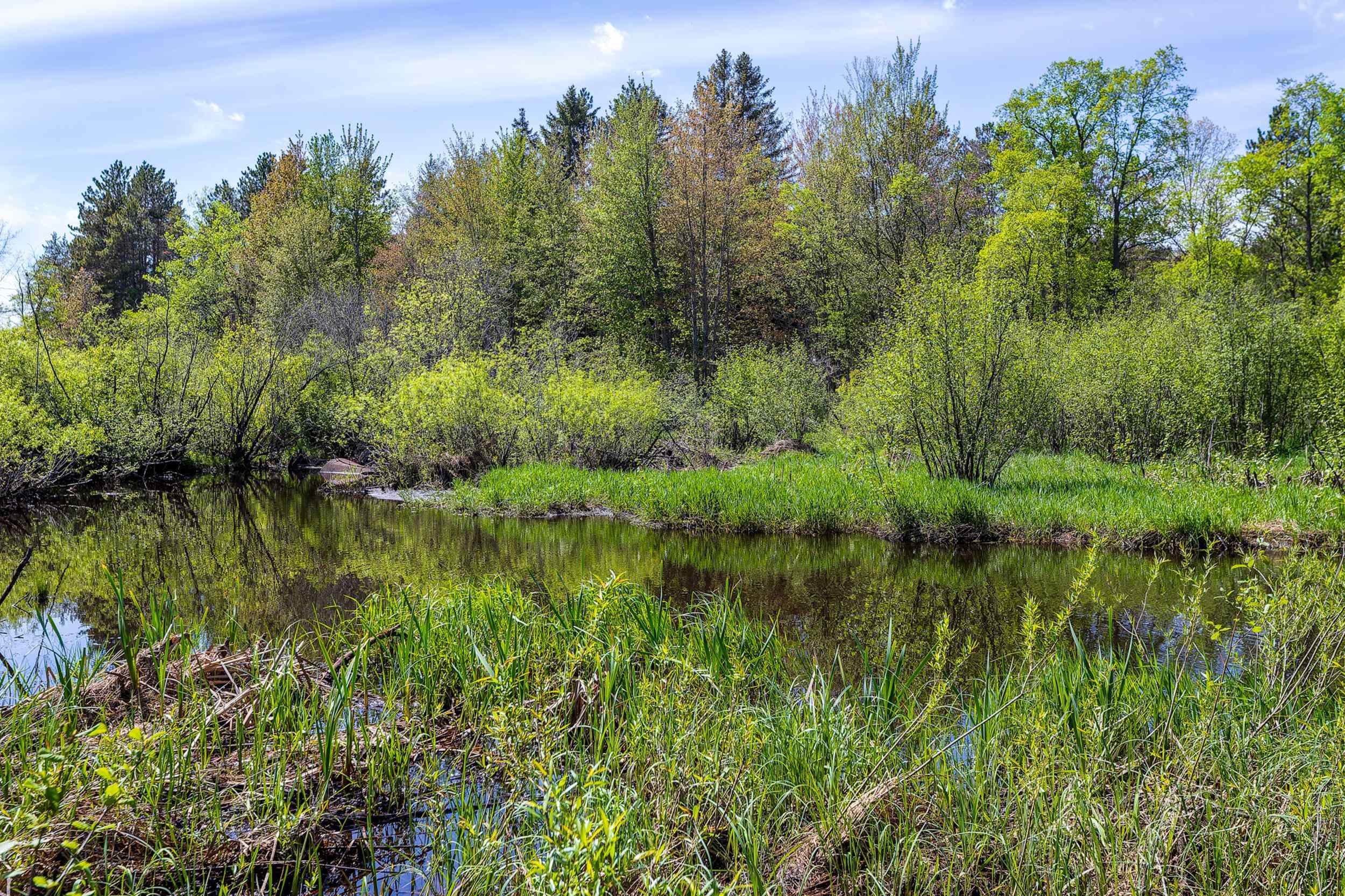 0 Makinen Road Kaleva, MI 49645 - Photo 5 of 25