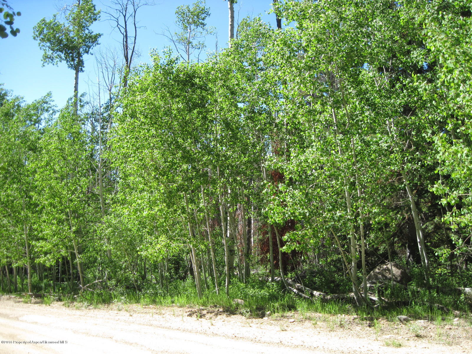 1980 Grackle Road, Unit LOT 183 Craig, CO 81625 - Photo 1 of 2 img_2117