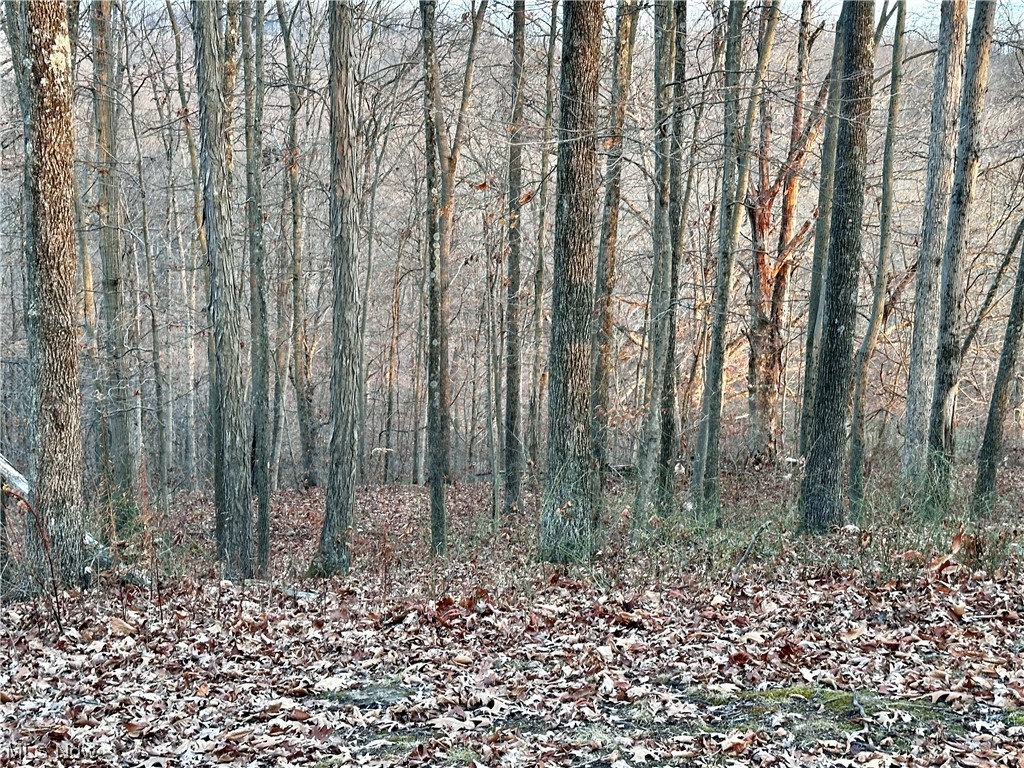 50748 Shenandoah Road Caldwell, OH 43724 - Photo 27 of 43 View of additional acreage and nature