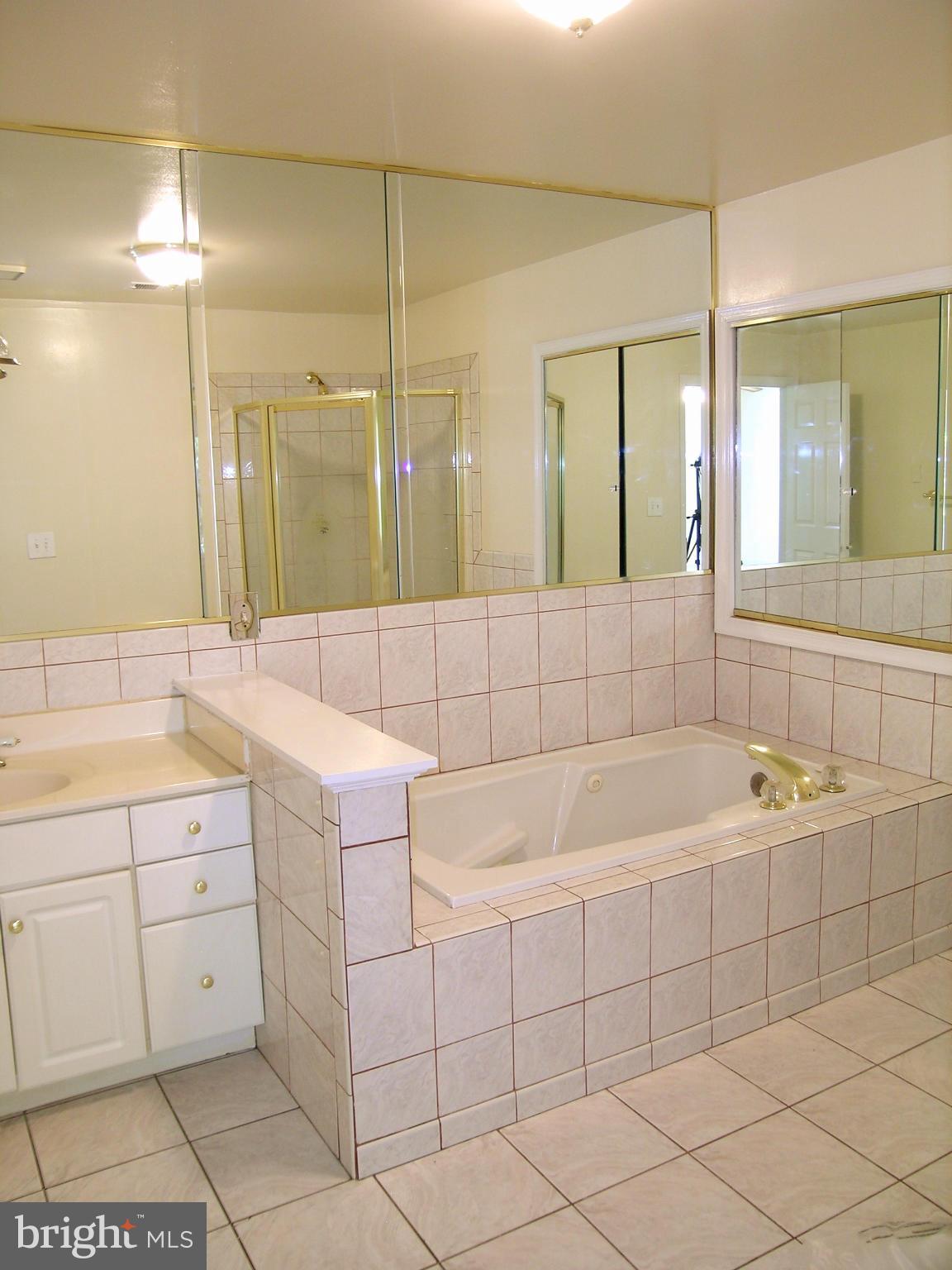6605 Runkles Road Mount Airy, MD 21771 - Photo 15 of 29 Master bath w/ separate tub
