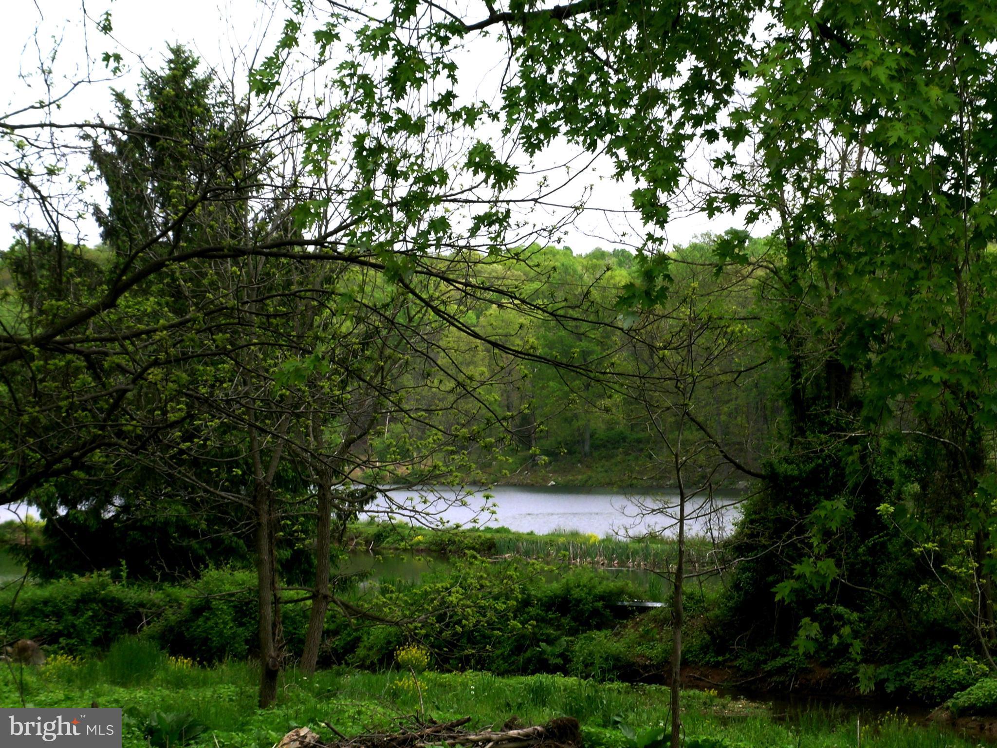 6605 Runkles Road Mount Airy, MD 21771 - Photo 28 of 29 View of pond from deck.