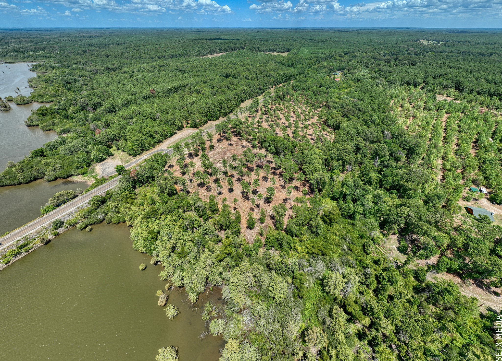 4 Fm 83 Bronson, TX 75930 - Photo 17 of 17 a view of a garden with a lake