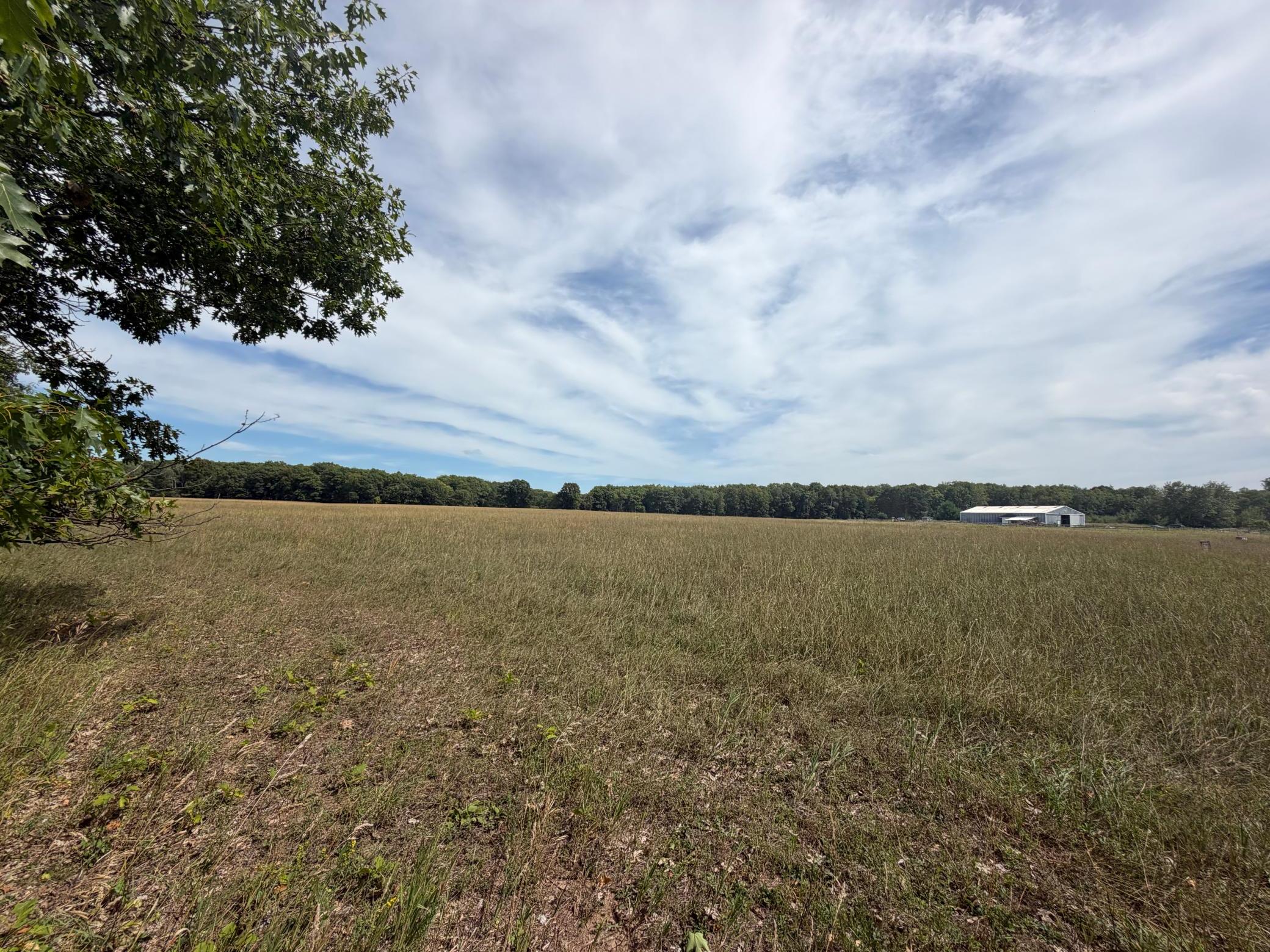 Tbd Lookout Road Ironton, MN 56455 - Photo 6 of 10 Gallery Image 6