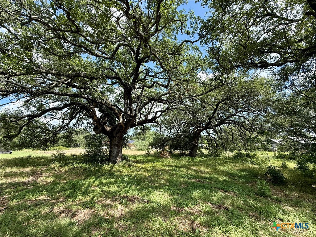 731 Santa Maria Road Salado, TX 76571 - Photo 14 of 15