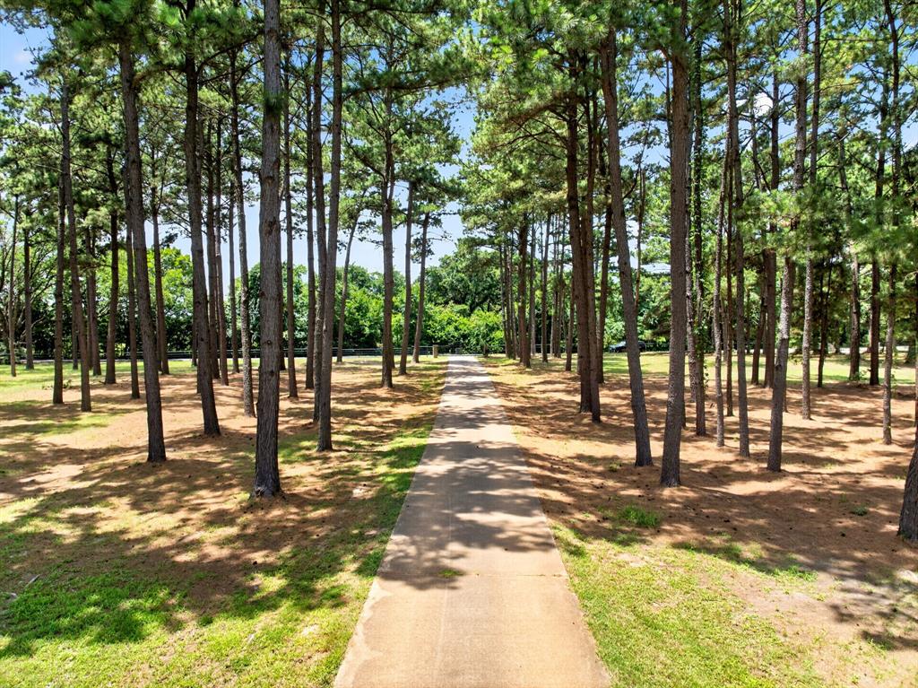 1201 Robbins Road Athens, TX 75751 - Photo 2 of 40 Front of property featuring private, gated access from Robbins Rd & mature pine trees.