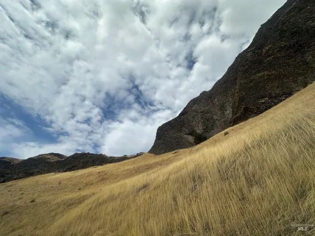 $850,000 | Tbd Grandview Drive, Clarkston, WA 99403