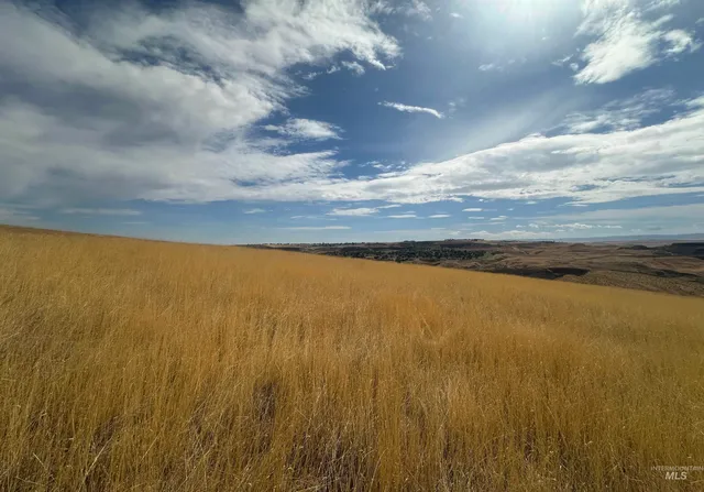 $850,000 | Tbd Grandview Drive, Clarkston, WA 99403