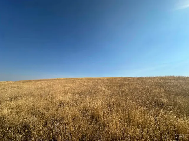 $850,000 | Tbd Grandview Drive, Clarkston, WA 99403