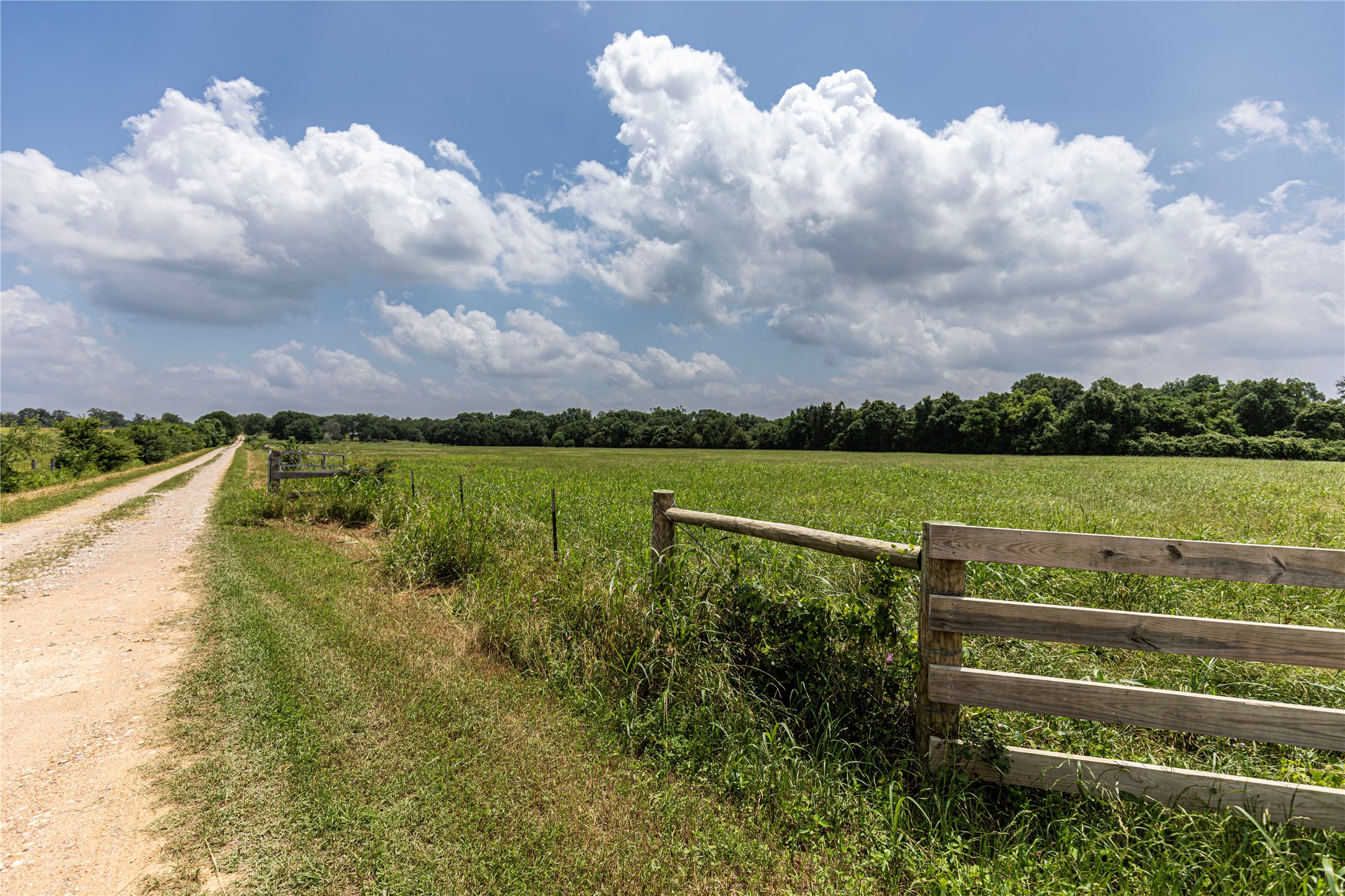 0 Skalak Road Bellville, TX 77418 - Photo 3 of 11
