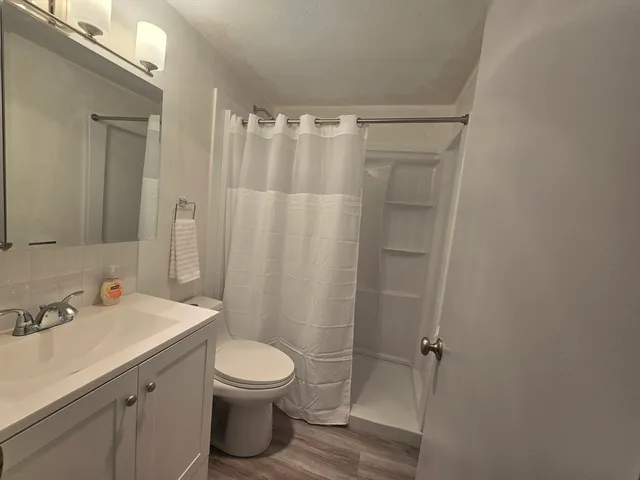 a bathroom with a sink a toilet and shower